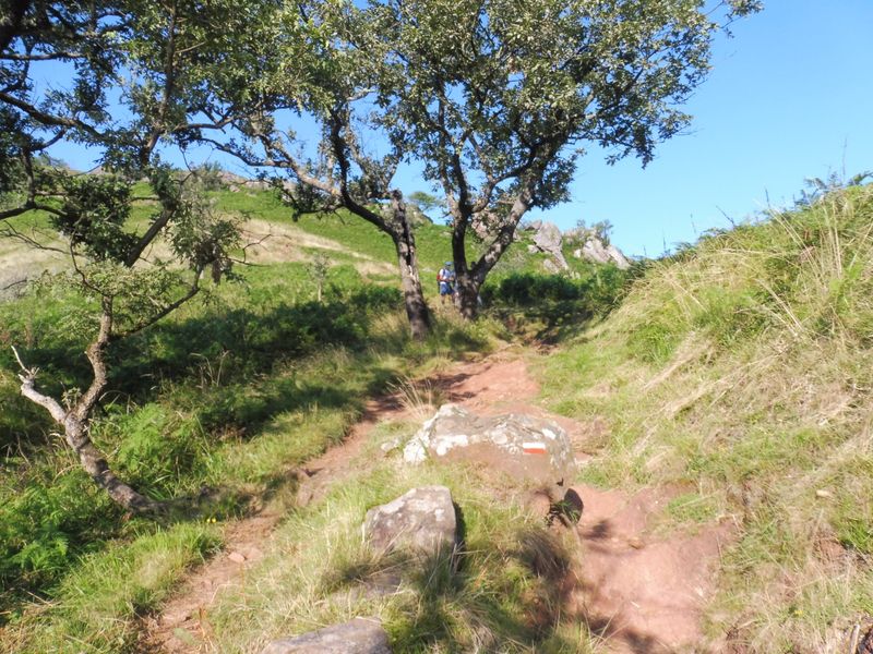 Col de Pagalepoa 455m