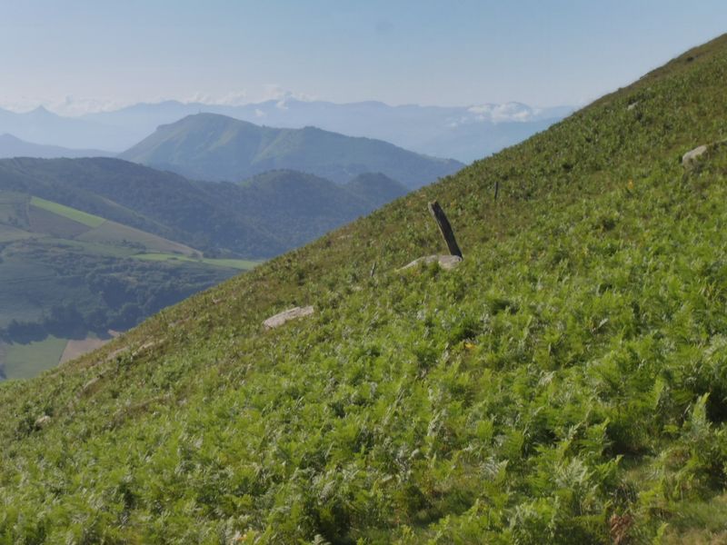 une vue sur le menhir (pierre leve) des crtes d Iparla