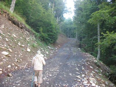 sur la piste en forêt, montées 
