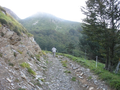 la partie boisée s achève  